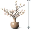 Magnolia met formaten